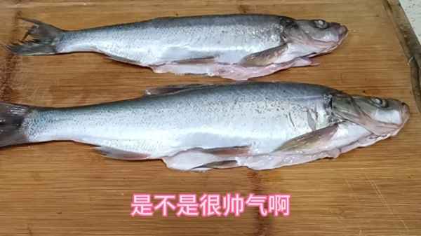 東北醬燜嘎魚的做法;東北醬燜嘎魚的做法和配料