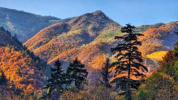 兰州兴隆山几月份去最好看—兰州兴隆山需要门票吗