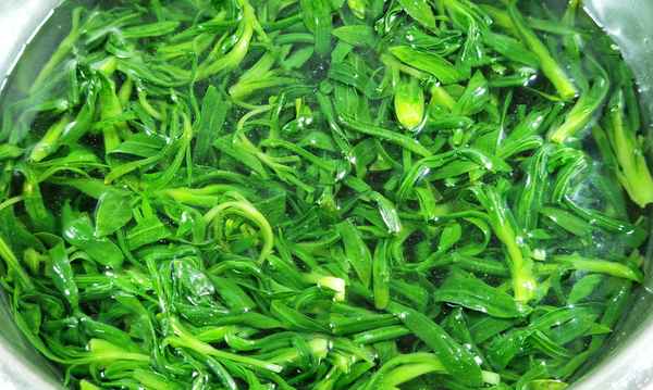 馬蘭頭野菜高清圖片—野菜馬蘭頭是什么樣子的