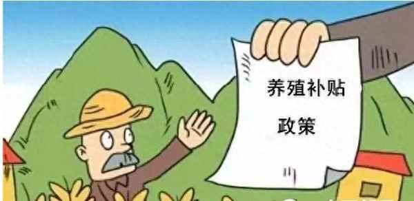 养多少蜜蜂可以申请国家补贴-养多少蜂能领到补贴