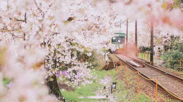 大連嵐山公園在哪里—大連嵐崮山在哪里