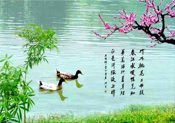 春江晚景惠崇古诗的意思—春江晚景惠崇春江晚景古诗