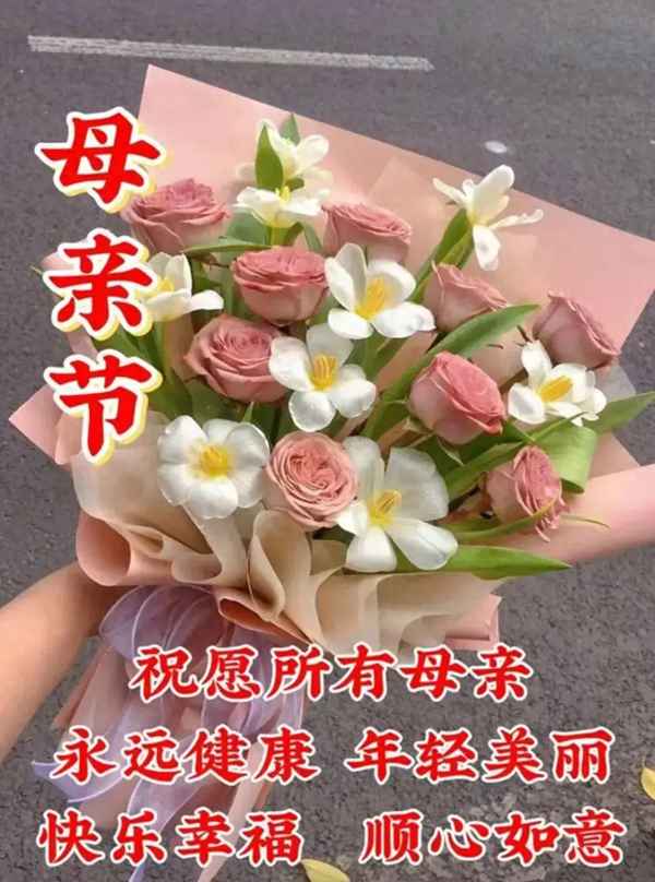 健康區(qū)圖片_健康區(qū)域
