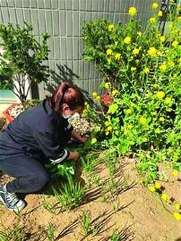 青岛大学金家岭校区附近租房—58同城青岛崂山区租房子