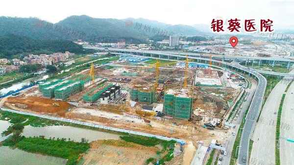 2019年银葵财经网、银葵金融网