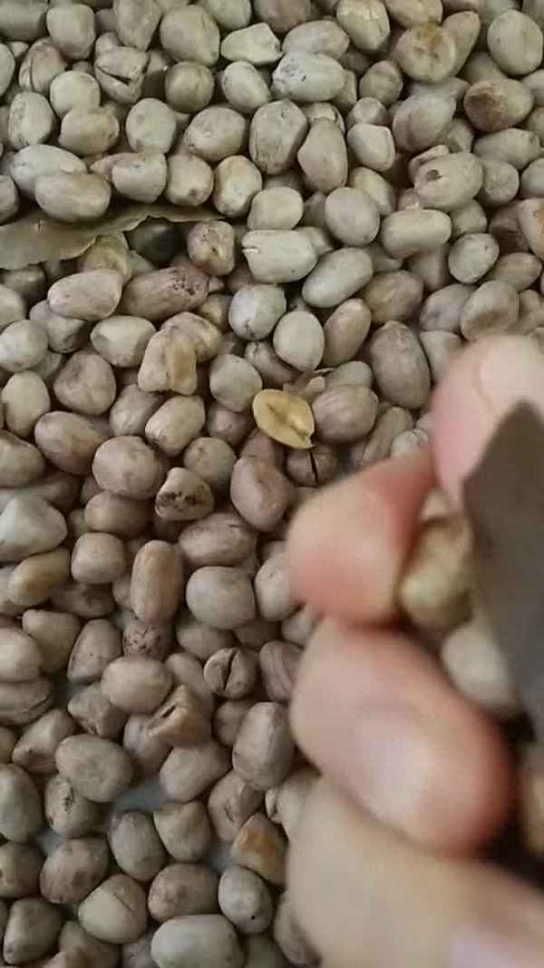 烤箱烤花生米的做法、烤箱烤花生米的做法和溫度
