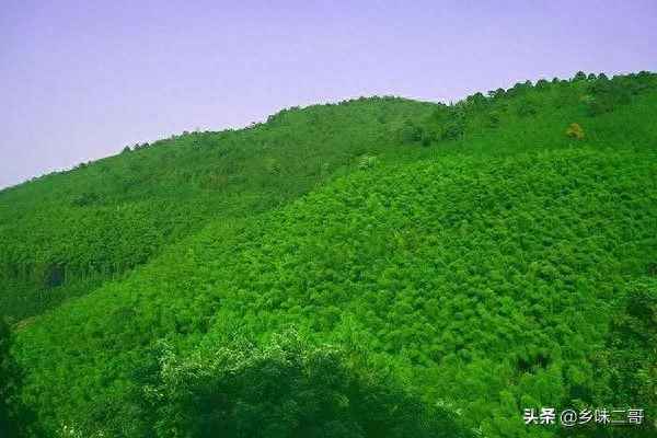 大竹五峰山景區圖片_大竹縣五峰山風景區