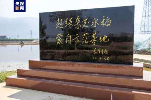 袁隆平新水稻品種名稱、袁隆平水稻品種按時(shí)間順序