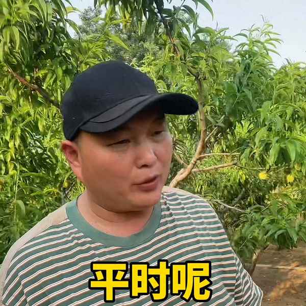 小主持人自我介紹(競選小主持人自我介紹)