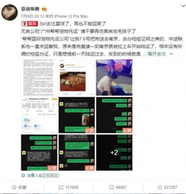 宠物丢失赔偿标准、宠物丢失怎么立案