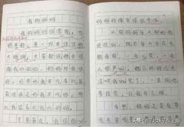 我們一家人作文開頭(我的一家人作文450)