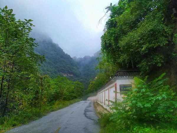 宕昌縣十大旅游景點_宕昌縣旅游攻略