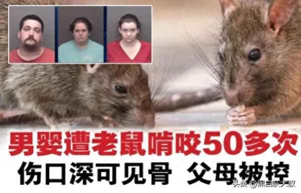 怎么判断婴儿被老鼠咬(婴儿被老鼠咬了对身体的危害)