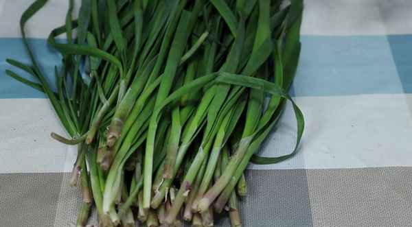 韭菜餃子怎么保存(包好的韭菜餃子怎么保存)