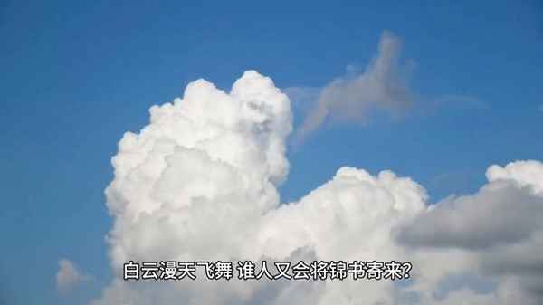 花自飘零水自流下一句—花自飘零水自流下一句是