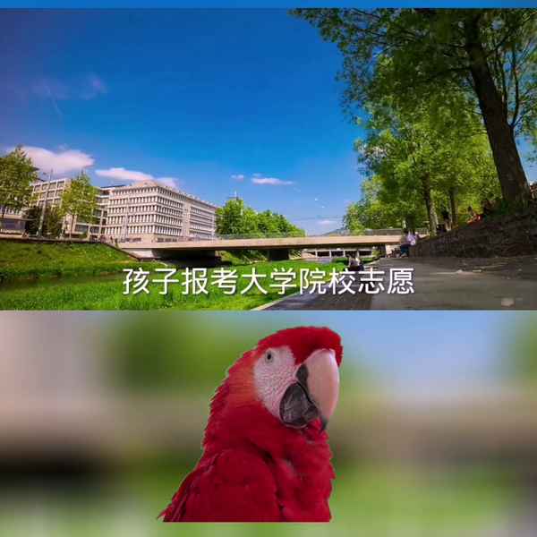财经跟工程-财经工程专业学什么