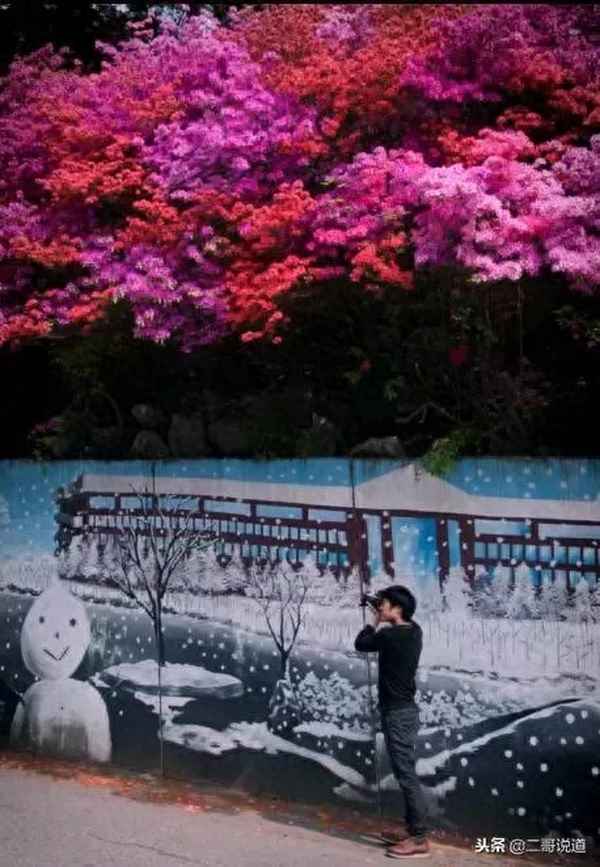 阳澄湖镇月印万川怎么样,苏州阳澄湖东原月印万川怎么样