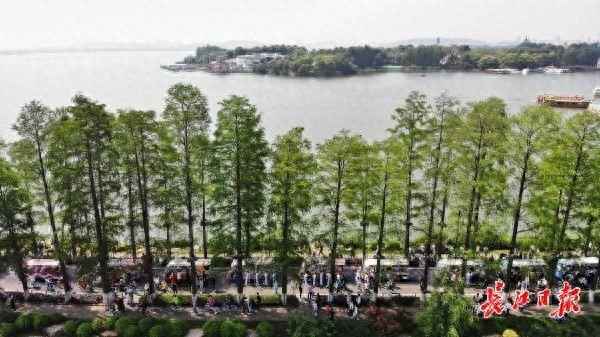 19-30天气回放,回放天气预报24小时详情