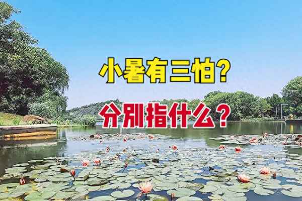 小暑节气气候特征(小暑节气气候特征有哪些)