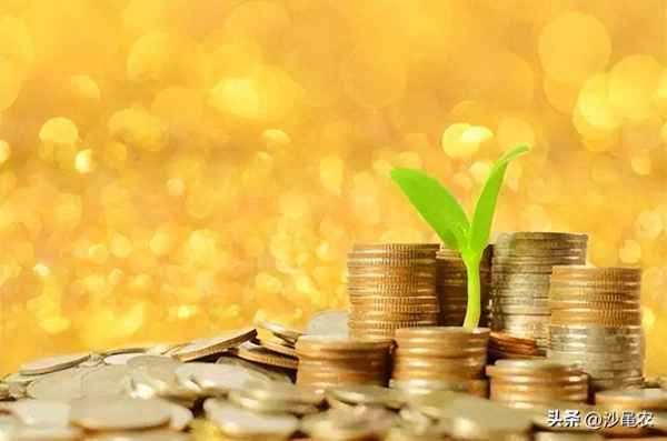 股市早八点沙黾农今日、股市早盘最高价与最低价