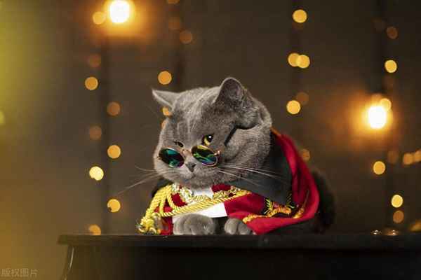 comex黄金财经手机新浪网-黄金走势分析最新信息