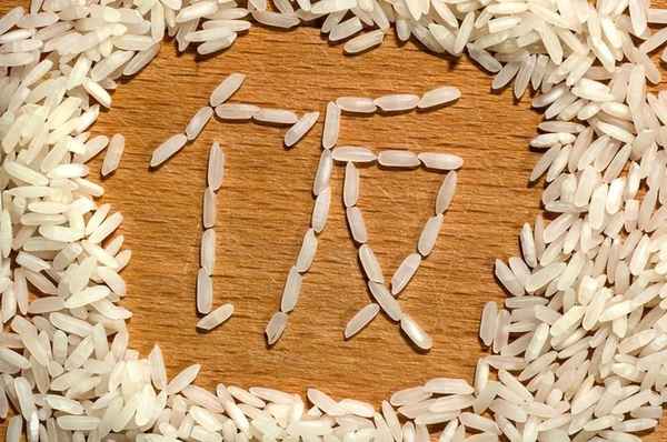 粮食股有哪些股票—粮食的股票都有哪些000876