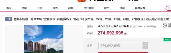 嶺南房產,廣州嶺南置業有限公司