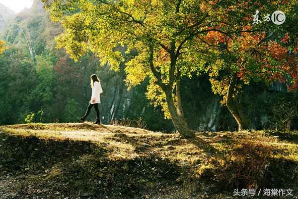 描写九寨沟景色的作文,描写九寨沟景色的作文小学四年级