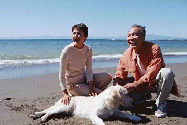 海南包吃住一体公寓-海南包吃住一体公寓骗局