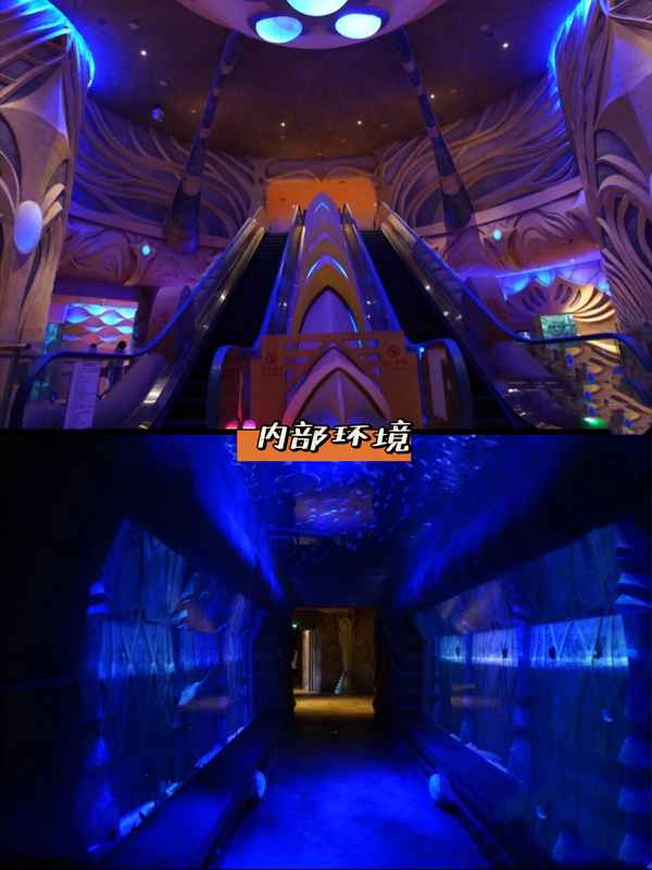 三亞水族館有必要去嗎-三亞水族館有必要買門票嗎