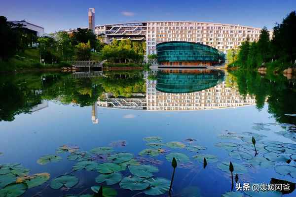 财经学校深圳校区好吗;财经学校深圳校区好吗知乎