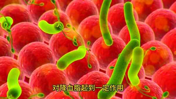 十大健康蔬菜;十大健康蔬菜有哪些水果