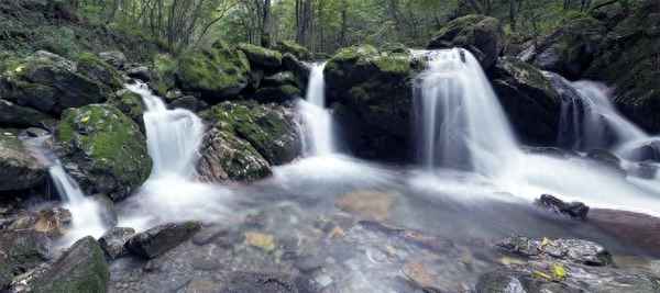 这首诗的注释和翻译(暮江吟的这首诗的解释)