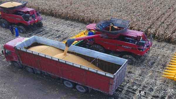 中国十大产粮大省—中国十大产粮大省排名