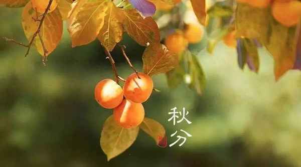 9月23日天氣預報;三門峽9月23日天氣預報