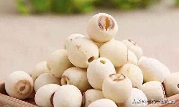 正宗建寧蓮子多少錢一斤-建寧蓮子當地批發價多少一斤