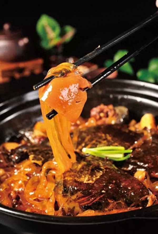 廣東正宗甲魚燜雞配方(甲魚燜雞的做法大全竅門)