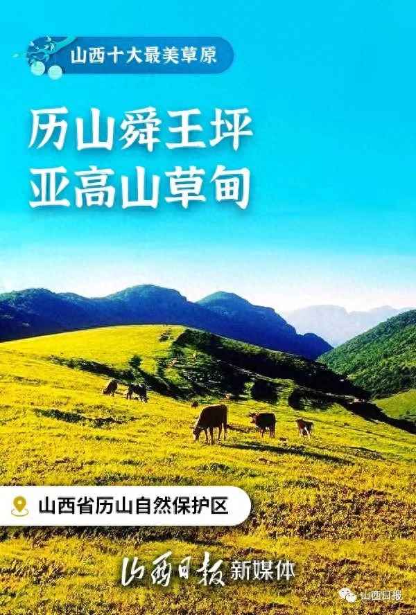 中國最美六大草原圖片-中國6大最美草原