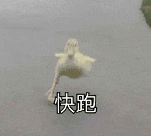 富颐华庭开发商是谁(富颐华庭什么时候交楼)