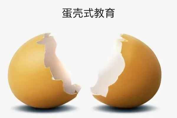 蛋殼教育-蛋殼教育是什么機構