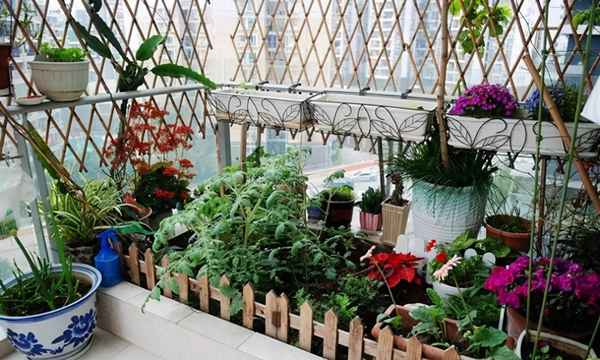 阳台外不锈钢护栏养花;阳台外不锈钢护栏养花图片