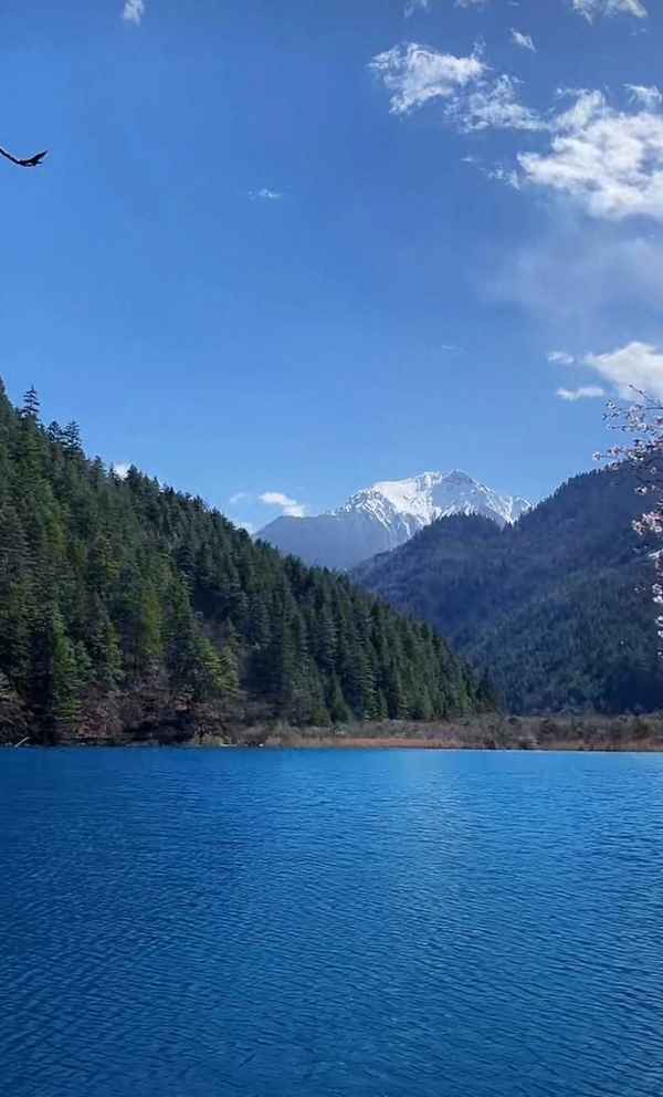 清风借我一壶酒醉卧花间月满楼;清风借我一壶酒醉卧花间月满楼全诗