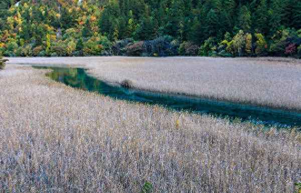 九寨沟冬天的风景图片、九寨沟冬天的风景图片真实