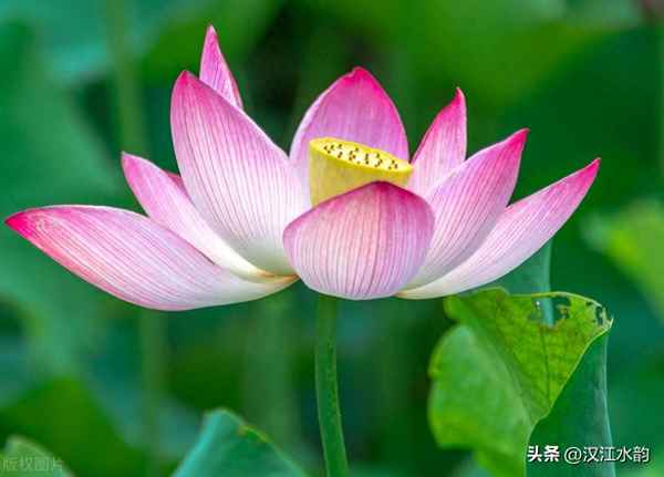 监察工作原则包括哪些内容_监察工作原则包括哪些内容和要求