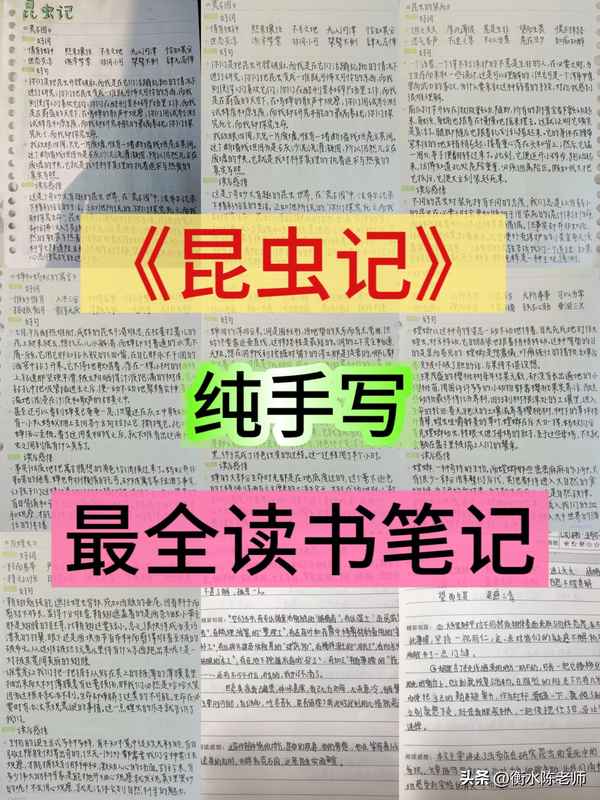 昆蟲記1—26章筆記-昆蟲記1—29每一章概括