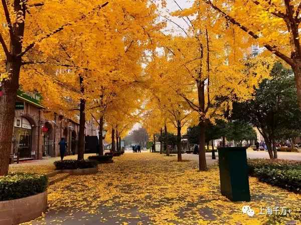 古北房产—古北房产中介有哪些