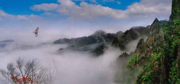 红楼梦第一回情节概括100字,红楼梦第一回概述一百字左右