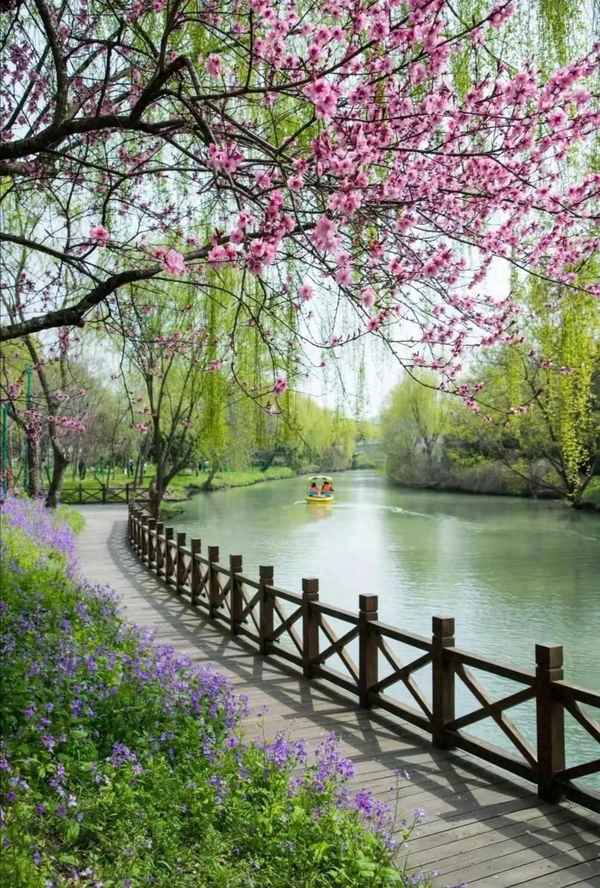 春风若有怜花意原诗是谁写的,春风若有顾 惟愿落花迟