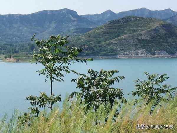 周村水庫附近有幾個(gè)水庫;周村水庫在哪里