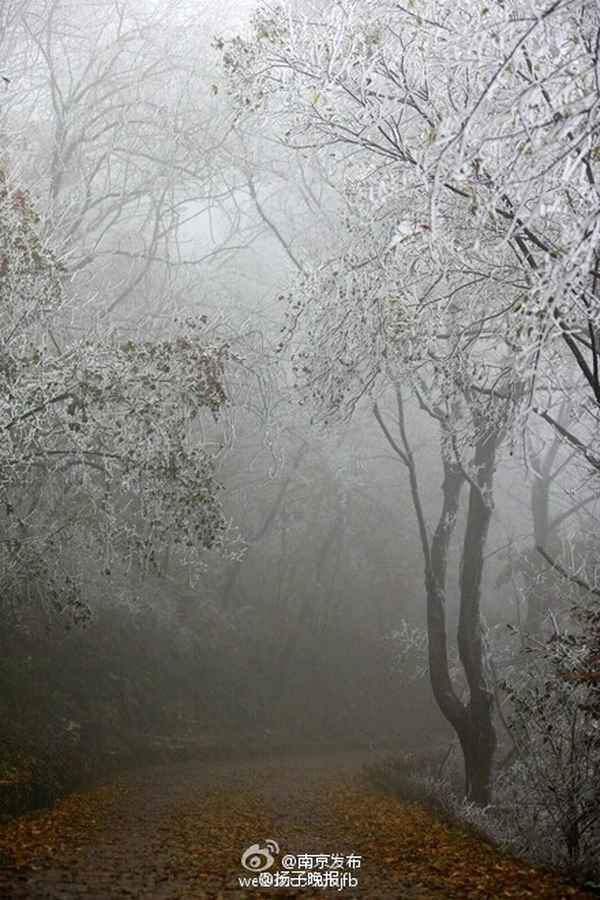 男子拍到西伯利亚冷空气入侵_西伯利亚冷空气是怎么形成的